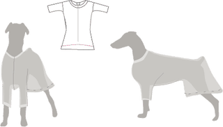 Illustration for article titled How to Avoid the Cone of Shame for Dogs Post Surgery